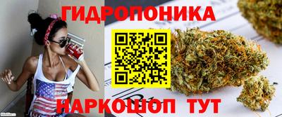 прущие крисы Донецк